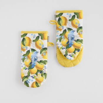 Set Mănuși de Bucătărie Lemondi 14x30 cm