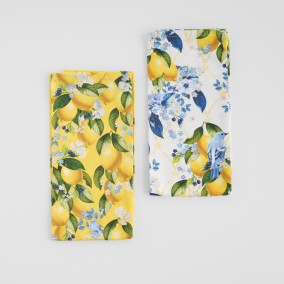 Set de ștergătoare Lemondi 45x65 cm