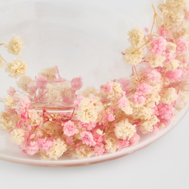 Presa franceza FLORRISSE