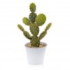 Floare decorativa CACTINI