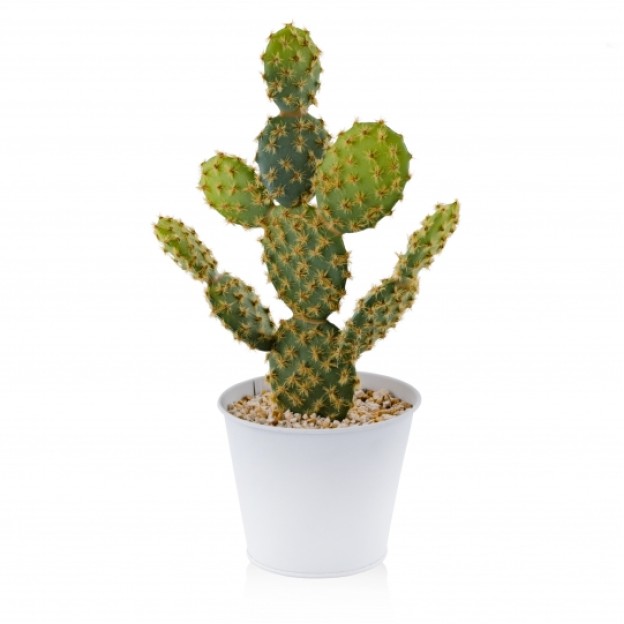 Floare decorativa CACTINI