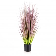 Floare decorativa SWEETFLAG