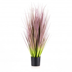 Floare decorativa SWEETFLAG