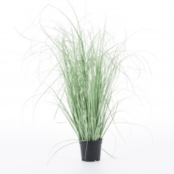 Floare decorativa GRASSO
