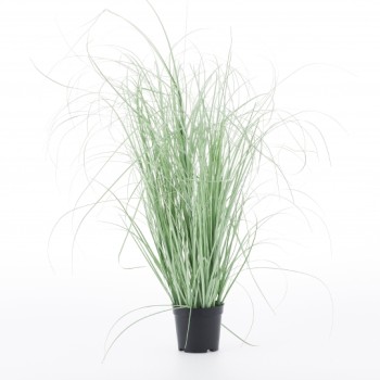 Floare decorativa GRASSO
