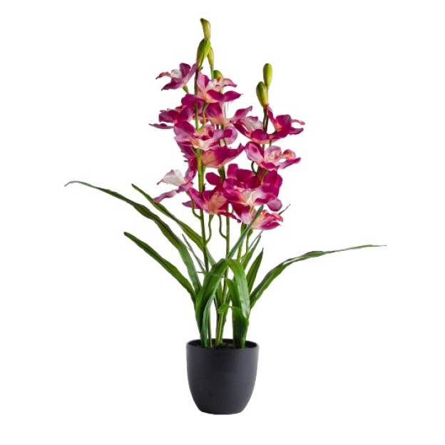 compozitie florala ORCHENIS