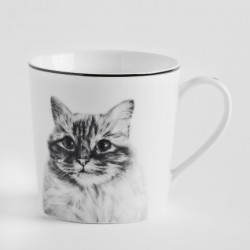 Cana kittie 330 ml